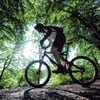 Mountainbiker wollen Strecke im Leutkircher Stadtwald errichten