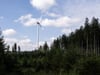 Kritik an Bürgerinitiativen: Missbrauchen Windkraft-Gegner den Naturschutz?