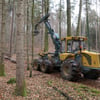 Nasse Böden erschweren die Holzernte in Ravensburg