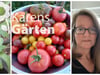Tomaten im März säen: Das ist wichtig