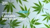 Hanf im Glück: Cannabis Legalisierung in Deutschland