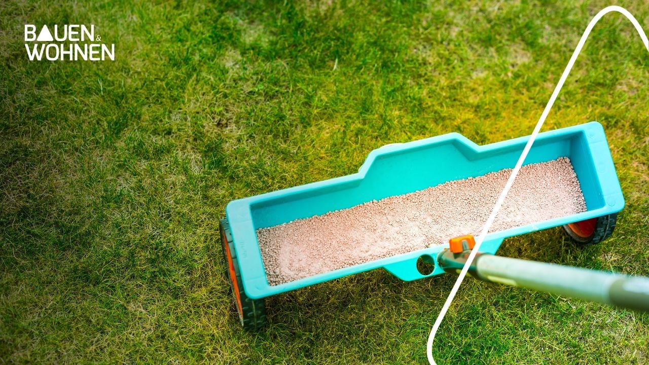 Rasen düngen im Frühjahr so geht’s richtig Schwäbische.de