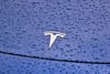 Stellenabbau bei Tesla - Experte erwartet „Durchhänger-Jahr“