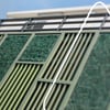 Dach- und Fassadenbegrünung: Diese Pflanzen kühlen Ihr Haus