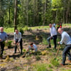 Traubeneiche und türkische Hasel sollen den Wald vor dem Klimawandel retten