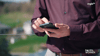 Steuerung über mobile Geräte