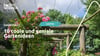 Coole und geniale Gartenideen vom Experten: Pool, Wasserspiele, Gartenbar, Pilzbeet, Laubengang, Baumhaus.