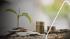 Wir erklären, wie Sie Ihr Geld nachhaltig investieren können. Ökologische und soziale Aspekte beachten. Nachhaltige ETFs, Aktien & Fonds.