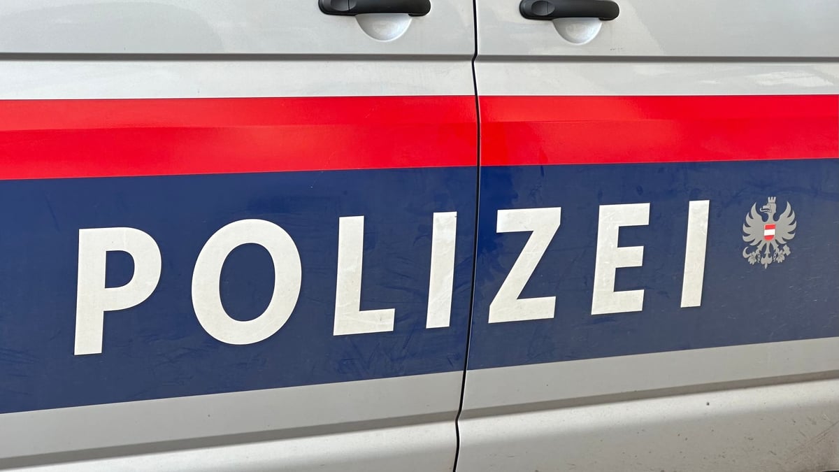 School shooting in Austria: Several fatalities