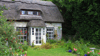 Der englische Bauerngarten im Cottage Garden Style gehört zu den beliebten Gartentrends in diesem Jahr.