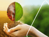 Pflanzen und Garten dem Klimawandel anpassen: So geht's