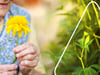 Pflegeleichter Garten für Senioren