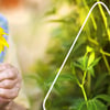 Pflegeleichter Garten für Senioren