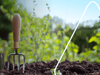 Garten im Frühling: Vorbereitung, Tipps und Pflege