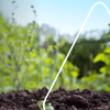 Garten im Frühling: Vorbereitung, Tipps und Pflege