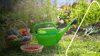 Nachhaltiges Gärtnern schützt wertvolle Ressourcen und natürliche Lebensräume. Tipps für mehr Nachhaltigkeit im Garten
