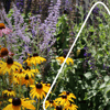 Welche Pflanzen passen für meinen Garten?