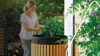 Regenwasser sammeln leicht gemacht: Tipps & Tricks