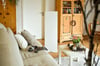 <strong><a rel="sponsored" href="https://www.haller-infrarot.com/infrarot-heizen/anwendung/mobile-infrarotheizungen">Mobile Infrarotheizungen</a></strong>