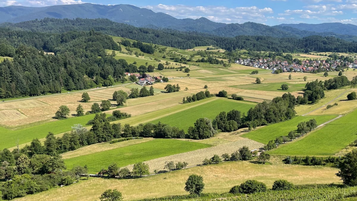 Schönste Roadtrips Deutschlands: Strecke in Baden-Württemberg gehört dazu