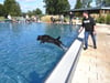 Saisonende: Hier dürfen Hunde im Freibad schwimmen