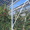 Agri-PV Förderung, Voraussetzungen und Vergütung