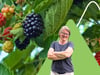 Johannisbeeren und Himbeeren schneiden - so geht's