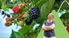Karin zeigt uns diesmal, wie man Beerenobst, besonders Johannisbeeren und Himbeeren schneidet. 