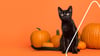 Halloween heißt Gruselzeit. Kürbisse, Gespenster und schwarze Katzen laden zur schaurig schönen Zeit ein.