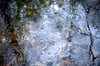Umwelt und Nachhaltigkeit