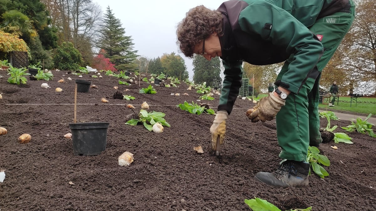 Die Insel Mainau mit neuer Ausstellung von der Blumeninsel
