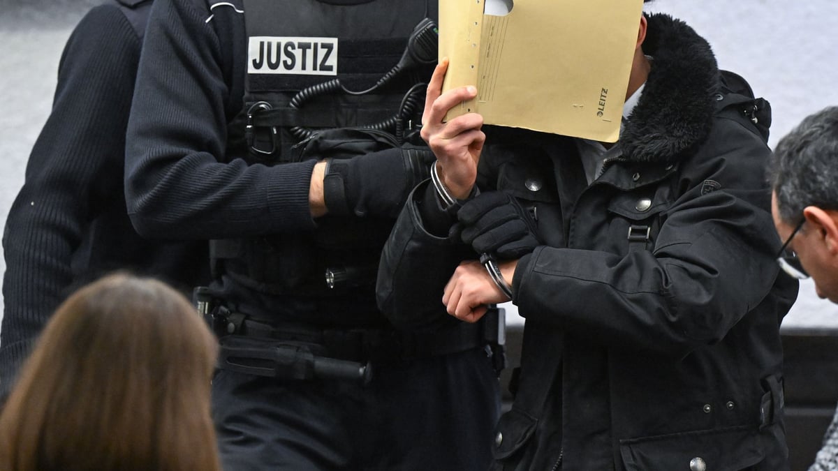 Elf Kinder, drei Ehefrauen, 150 Straftaten - und der Steuerzahler blecht ...