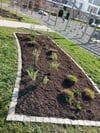 Im Sommer ist es sinnvoll, den Mulch zu erneuern, um die Feuchtigkeit im Boden besser zu speichern.