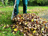 Im Herbst ist es besonders praktisch, Grünschnitt von Da Silva abholen zu lassen. Da Silva bietet diesen Service nicht nur im Herbst, sondern das ganze Jahr über an.