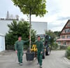 Beim Gartenbauunternehmen Da Silva werden die Bäume und Sträucher der Kunden mit viel Fachwissen gepflegt, damit sie langfristig gesund bleiben.