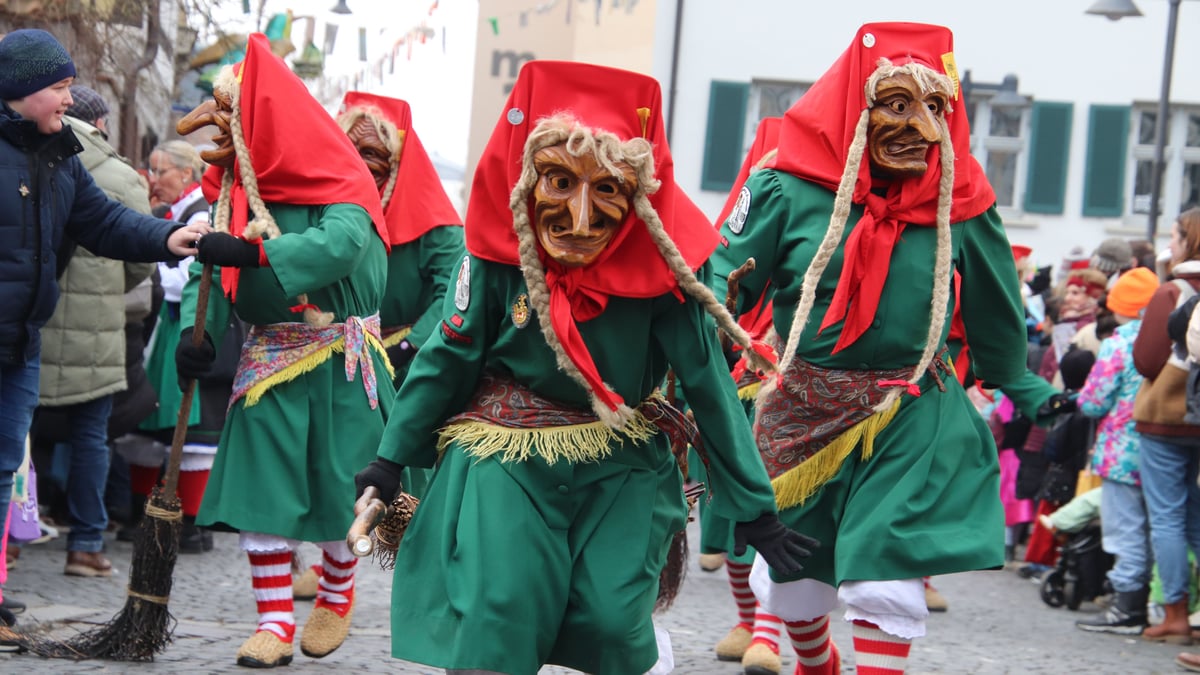  Narrentreffen in Ulm: Die schönsten Bilder vom Ulmzug 2025 Bildidee 