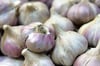 Spanien, China, Ägypten: In den wenigsten Fällen kommt Knoblauch aus Deutschland.