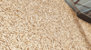 Wer nachhaltig mit Holz heizen möchte, sollte auf regionale Pellets setzen. 
