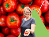 Praktische Gemüsegarten Tipps: So zieht man Tomaten selbst am besten