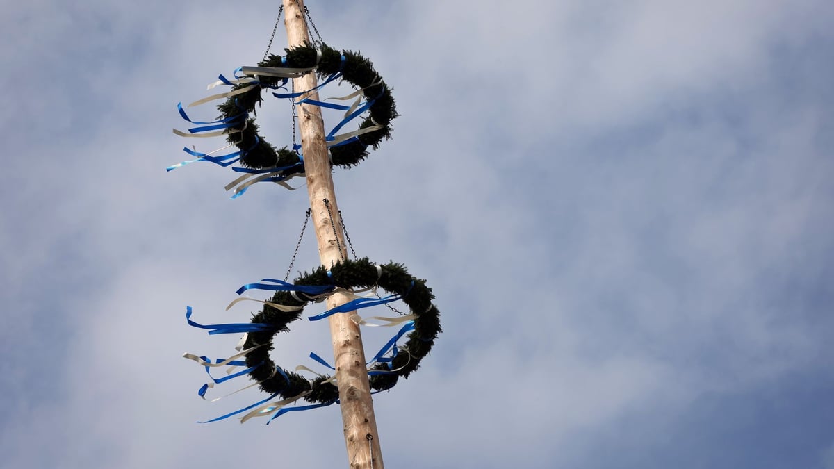 1,000 Euro reward: Who is behind the tasteless maypole campaign?