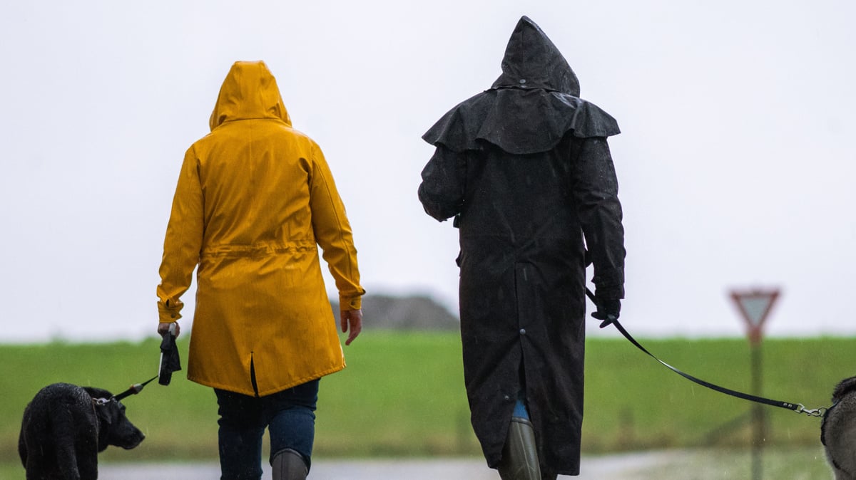Gefährliche Chemikalien in Ihrer Jacke? So schützen Sie Ihre Gesundheit beim Kleidungskauf!
