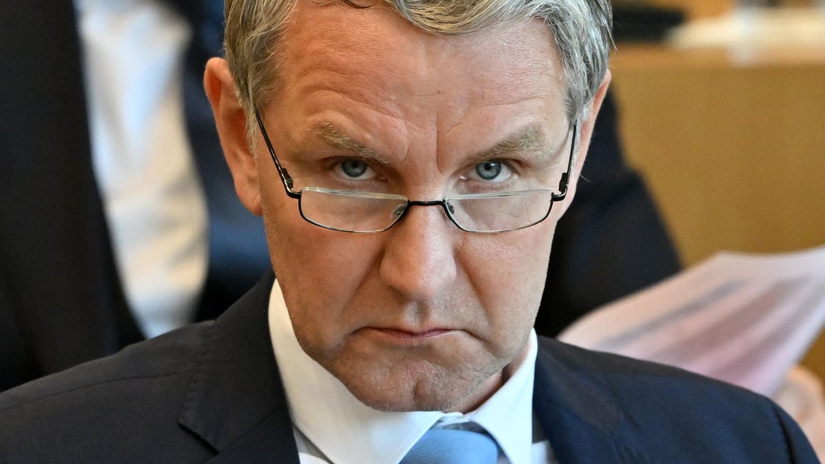 Will AfD members soon no longer be able to join the civil service here?