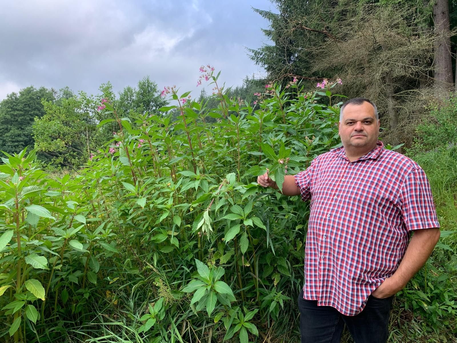 Zia Sabri natural beauty