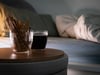 Fieser Magen-Darm-Infekt: 7 Fragen zum Norovirus