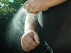 Drei Tipps: So geht guter Schutz vor Mückenstichen