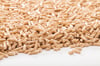 Sägespäne aus rindenfreiem Nadelholz aus nachhaltiger Forstwirtschaft bilden den Rohstoff für erstklassige Sonnen-Pellets