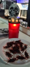 Mit kleinen Details wie <strong>Kakerlaken Deko</strong> auf Tellern, Sitzplätzen oder in Ecken können Sie Ihre Gäste mit Schrecken überraschen – ein Muss für jede <strong>Halloween Party Deko.</strong>
