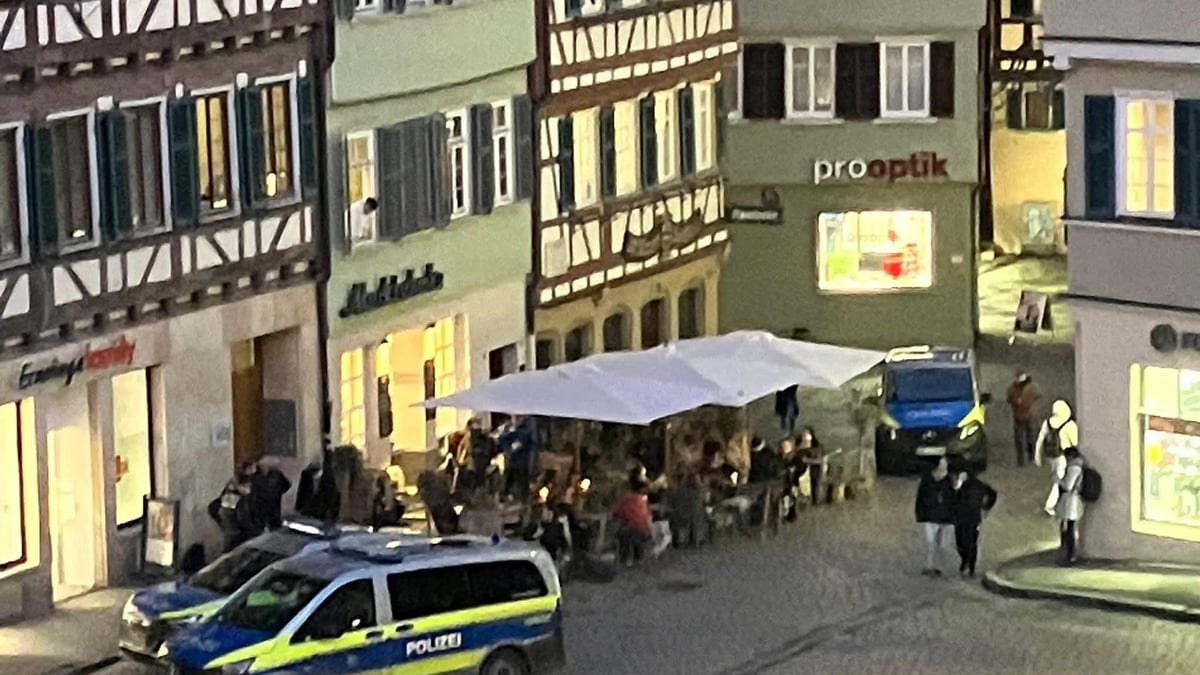 After violent café rampage: Palmer calls for “tangible sanctions”